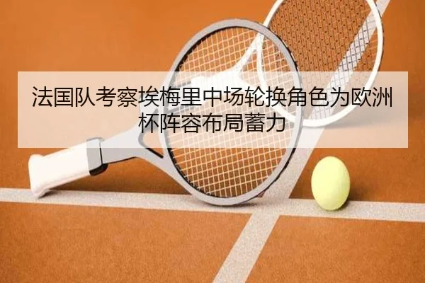 法国队考察埃梅里中场轮换角色为欧洲杯阵容布局蓄力