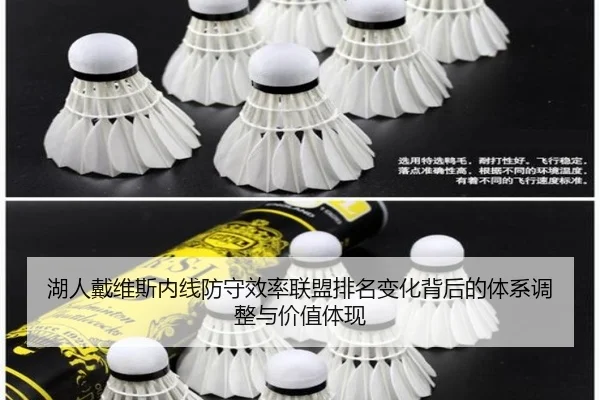 湖人戴维斯内线防守效率联盟排名变化背后的体系调整与价值体现